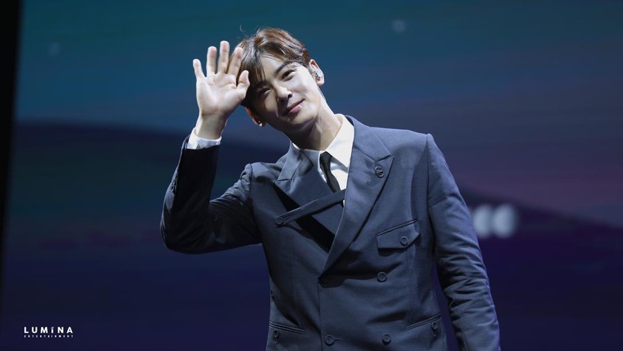 Cha Eun Woo