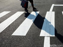 Perlu Jalan Berapa Ribu Langkah Biar Tak Kena Penyakit Jantung dan Panjang Umur?