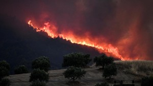 Kebakaran Hutan di Aljazair Utara 26 Tewas, 350 Warga Dievakuasi
