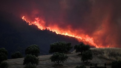 img-title Kebakaran Hutan di Aljazair Utara 26 Tewas, 350 Warga Dievakuasi