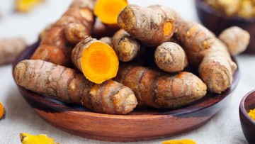 MAKANAN YANG BAGUS UNTUK MELEMBAPKAN KULIT
