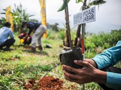 Hari Hutan Sedunia 21 Maret: Sejarah, Ucapan, Twibbon