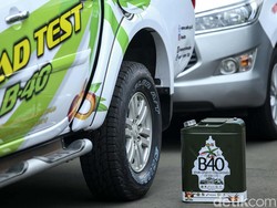 Rebutan Mesin Pencetak Uang dalam Industri Biodiesel