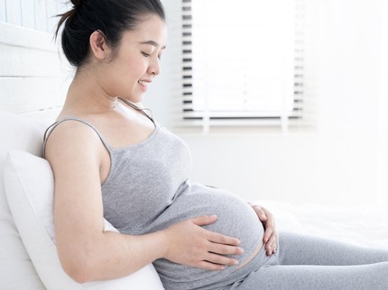 Usia Kehamilan 2 Bulan, Masa saat Organ Internal Janin Berkembang Pesat
