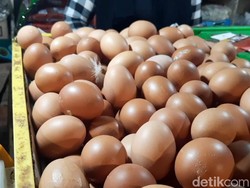 Pak Mendag, Harga Telur Ayam Masih Mahal Tembus Rp 32.000/Kg