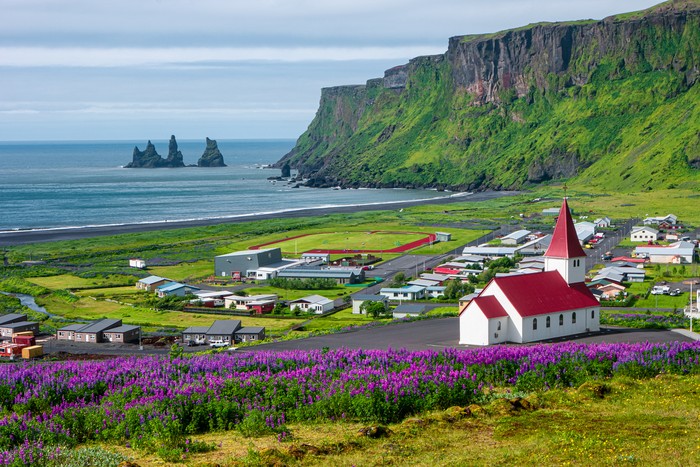 View of basalt stacks Reynisdrangar, black sand beach near Vik and violet lupine flowers and lonely church, South Iceland Daftar Negara Hampir Tidak Punya Penjara, Minim Kriminalitas!