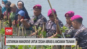 VIDEO: Lestarikan Mangrove Untuk Cegah Abrasi & Ancaman Tsunami