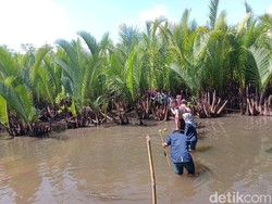 Blusukan ala Pramuka Pangandaran Peringati Hari Sungai Nasional