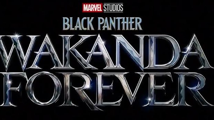 Trailer Perdana Tayang, Ini 3 Fakta Menarik dari Black Panther: Wakanda Forever, Siapa Pemeran Baru Black Panther?