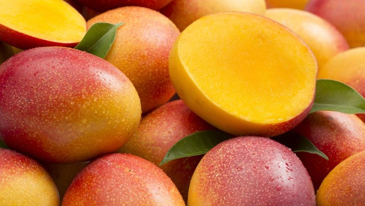 mango A lot of mangoes on white background