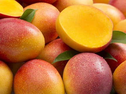 Mangga Termahal di Dunia Rp50 Juta per Kg, Apa Istimewanya?