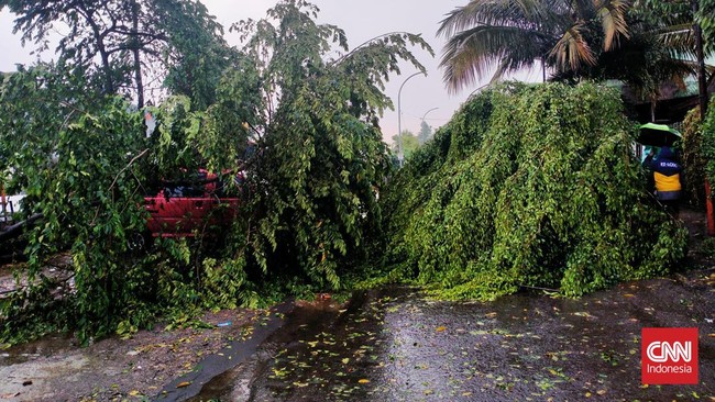 Akibat pohon tumbang dan genangan air yang tumpah ke jalanan membuat arus lalu lintas jalanan Kota Bandung macet.