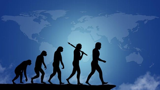 Experts Reveal Evolution Process Can Walk Backward