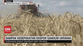 VIDEO: Dampak Kesepakatan Ekspor Gandum Ukraina