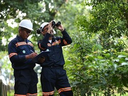 Catat Kinerja Positif, MIND ID Didorong Berperan Aktif untuk Capai NZE