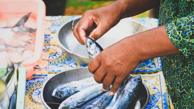 Ilustrasi Buruh Ikan Selective focus on fishes, hands holdong tuna fish at seafood market in Kedonganan - Passer Ikan, Jimbaran beach