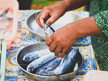 7 Jenis Ikan yang  Mengancam Kesehatan Tubuh, Sebaiknya Tak Dikonsumsi Bun