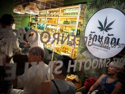 Ganja Tak Lagi Bebas, Toko-Toko di Thailand Bersiap Merugi