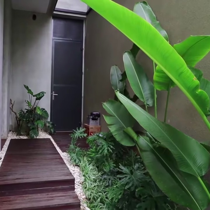 <p>Rizky Kinos termasuk orang yang menyukai tanaman. Ia pun menambahkan banyak tanaman hias di rumahnya, termasuk di sepanjang jalan menuju pintu masuk. (Foto: YouTube Tya Ariestya)</p>