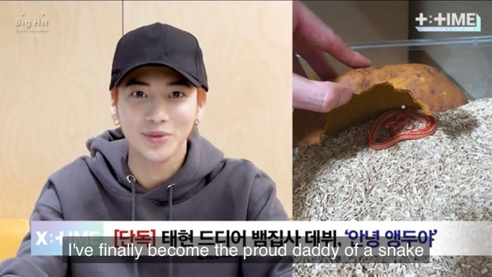 Ada Landak Hingga Siput, Ini Deretan Peliharaan Unik Idol K-Pop Terkenal