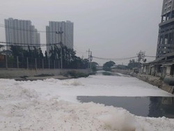 Busa Setinggi 2 Meter Muncul di Sungai Mulyorejo, Ini Penyebabnya