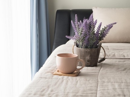 7 Tanaman Pengusir Lalat untuk Ditanam di Sekitar Rumah, Rosemary hingga Petunia