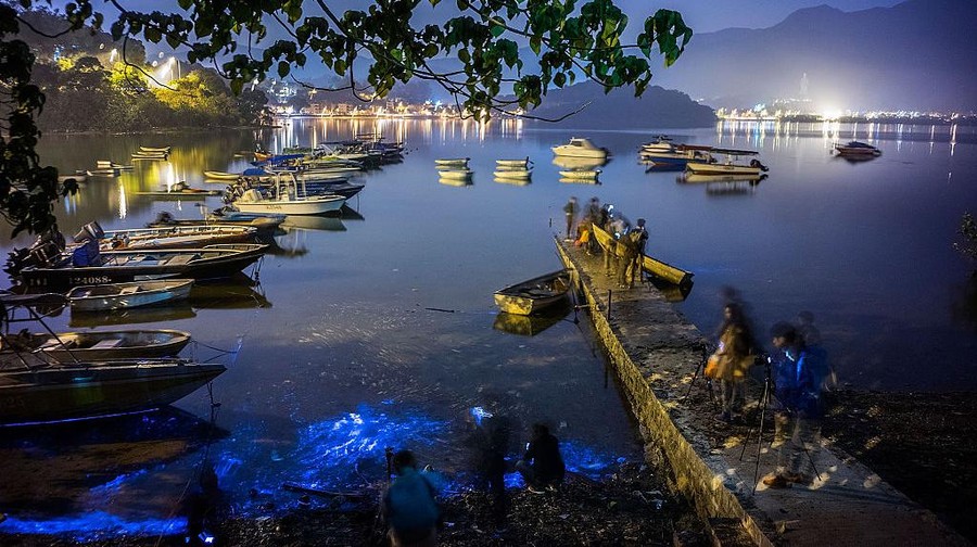 Terpukau Indahnya Pantai Bercahaya Bak Lampu Neon