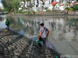 Penyebab Mabuknya Ikan di Kalimas gegara Perbaikan Dam Gubeng