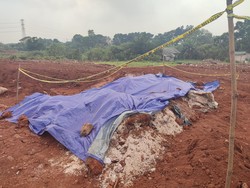 Duduk Perkara Temuan Beras Bansos di Depok