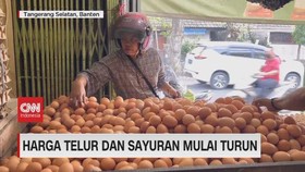 VIDEO: Harga Telur Dan Sayuran Mulai Turun