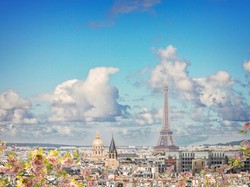 Hiii! 6 Juta Tikus Merajalela di Paris, Warganya Diminta Hidup Berdampingan