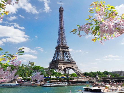 Kota Paris Dilanda Kutu Busuk, Apa Bahayanya Digigit Serangga Ini?
