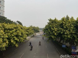 7 September Diperingati Hari Udara Bersih Internasional, Kurangi Polusi Udara