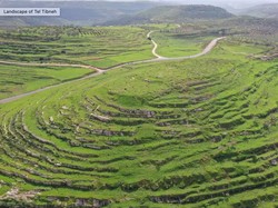 Arkeolog Gali Situs Diduga Makam Nabi Yosua di Israel