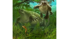 Fosil Nenek Moyang Mamalia Ditemukan, Lebih Tua dari Dinosaurus