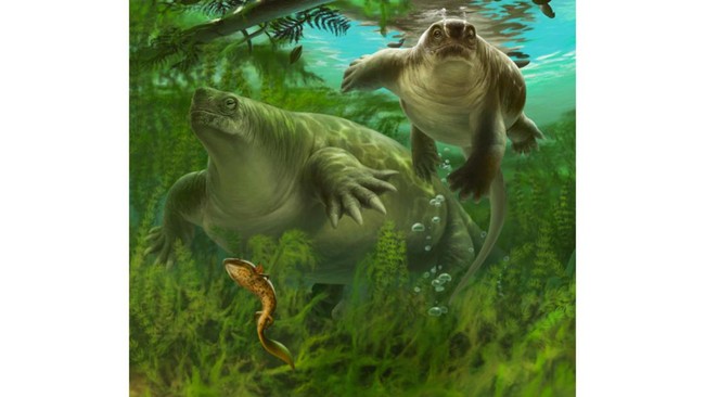 Para arkeolog menemukan fosil Lalieudorhynchus gandi yang diduga menjadi nenek moyang mamalia.