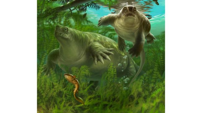 Mammal Ancestor Fossil Found, Older Than Dinosaurs