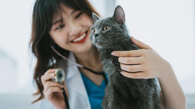 Kasihan Anabul, Cacar Monyet Juga Bisa Menular ke Hewan Tak cuma menular dari manusia ke manusia, virus penyebab cacar monyet juga diketahui bisa menular dari manusia ke hewan.
