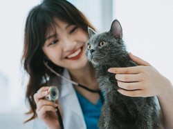 6 Pekerjaan dengan Gaji Tinggi yang Cocok untuk Introvert, Kamu Tertarik?