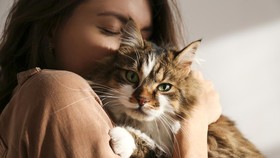 Kasih Sayang Mereka untuk Kucing-kucing Telantar di Jalan