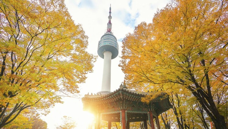 N seoul tower and chinese pavilion in autumn with morning sunrise, Seoul city, South Korea