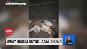 VIDEO: Jerat Hukum Untuk Jagal Anjing