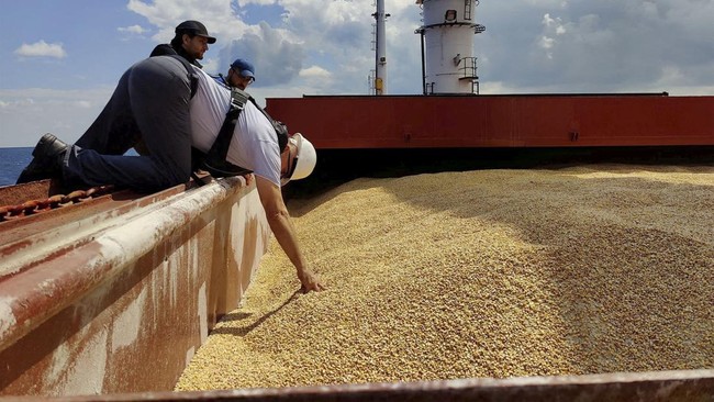 Harga gandum dan jagung di pasar komoditas global terkerek pasca Rusia menarik diri dari kesepakatan soal ekspor biji-bijian dari Ukraina melalui Laut Hitam.