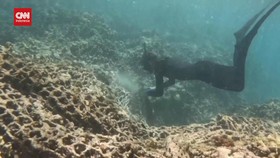 VIDEO: 43 Ribu Kg Sampah Laut Berhasil Dikumpulkan dari Hawaii