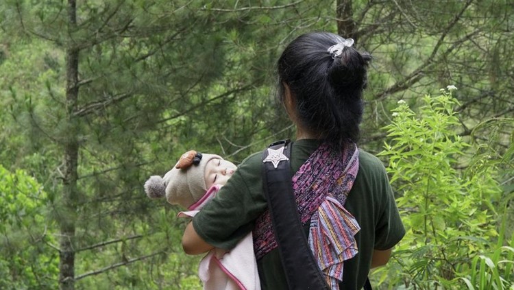 Kisah ibu yang membawa bayi usia 6 bulan naik gunung viral di media sosial. Kisah ibu yang membawa bayi usia 6 bulan naik gunung viral di media sosial.