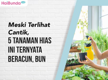 Meski Terlihat Cantik, 5 Tanaman Hias Ini Ternyata Beracun Bun