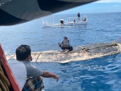 Paus Terdampar di Pesisir Bulukumba Mati, Bangkainya Ditenggelamkan