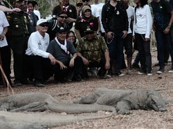 Jusuf Kalla: Tarif Rp 3,75 ke Pulau Komodo Perlu Dievaluasi