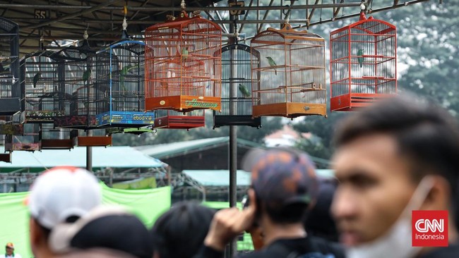 FOTO: Ajang Pecinta Burung Lomba di Lapangan Banteng