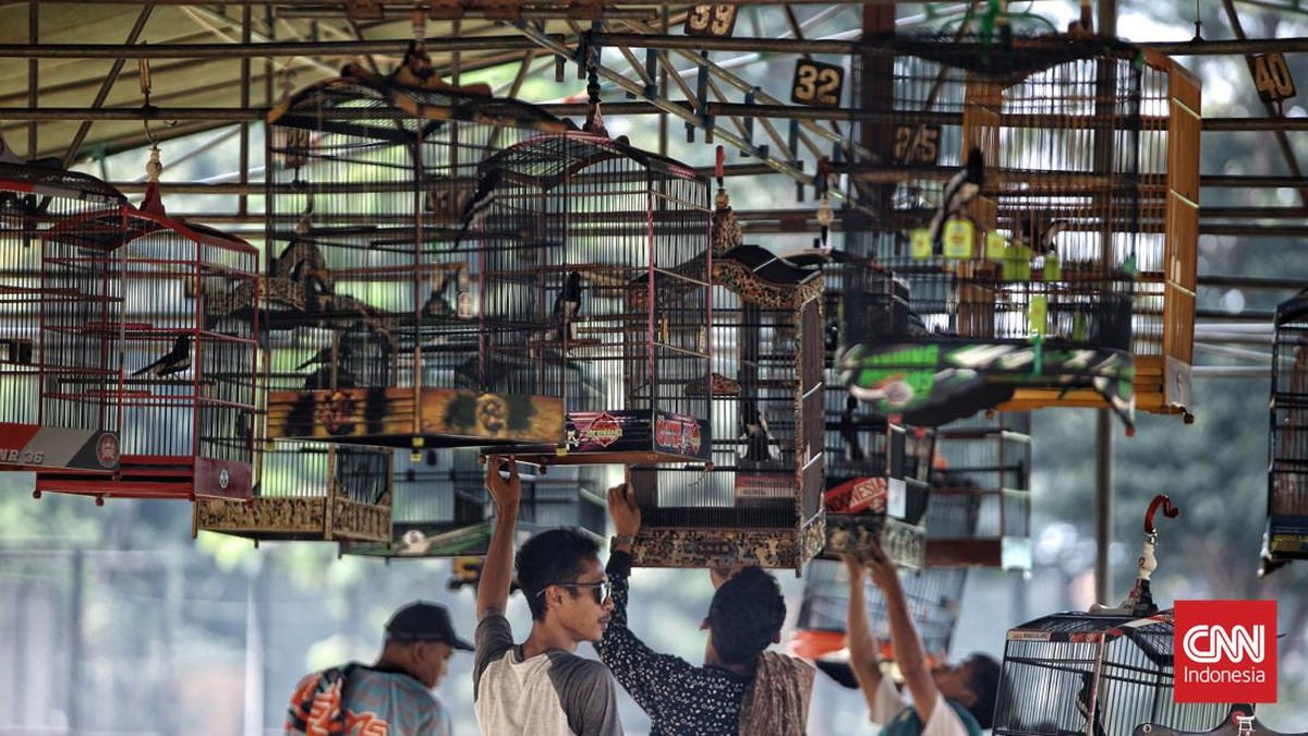 FOTO: Ajang Pecinta Burung Lomba di Lapangan Banteng